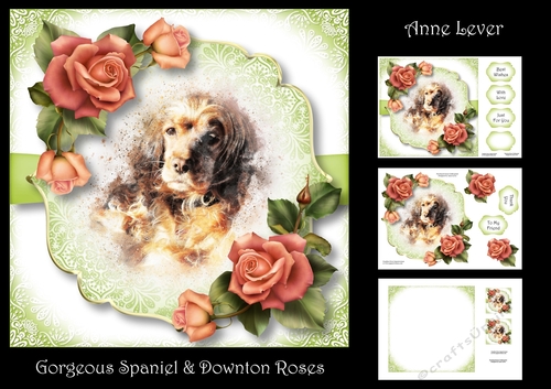 Gorgeous Spaniel & Downton Roses