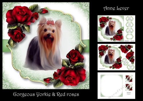 Gorgeous Yorkie & Red Roses