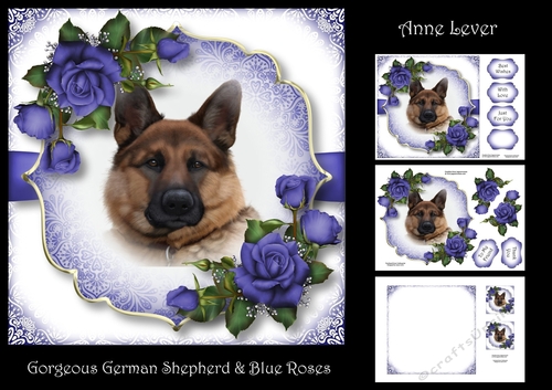 Gorgeous German Shepherd & Blue Roses