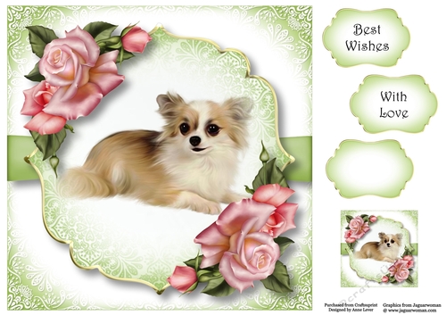 Gorgeous Chihuahua & Edwardian Roses 8x8