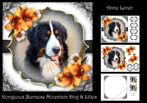 Gorgeous Burnese Mountain Dog & Lilies