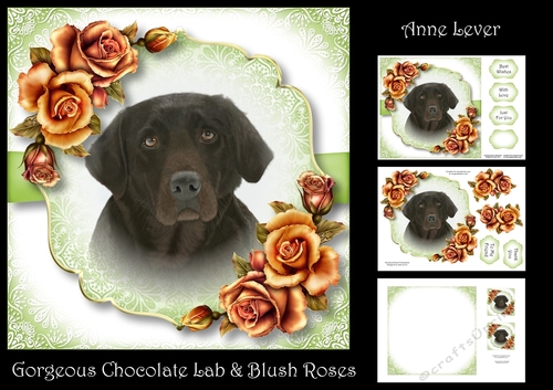 Gorgeous Chocolate Lab & Blush Roses