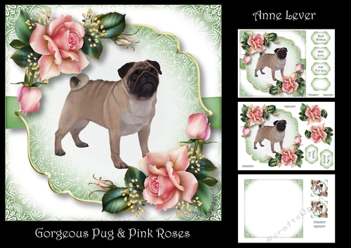 Gorgeous Pug & Pink Roses