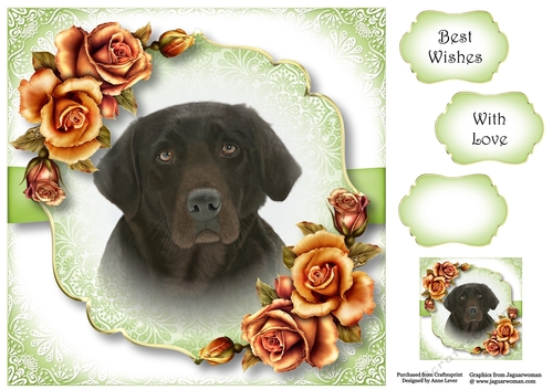 Gorgeous Chocolate Lab & Blush Roses 8x8