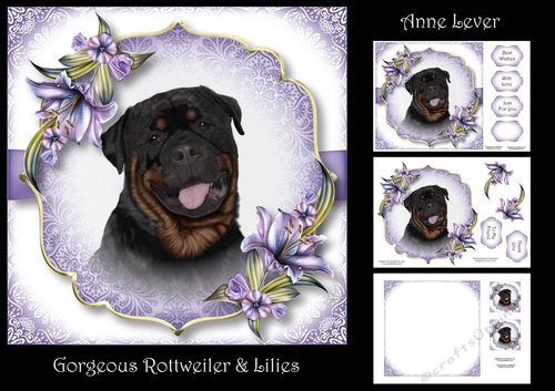 Gorgeous Rottweiler & Lilies