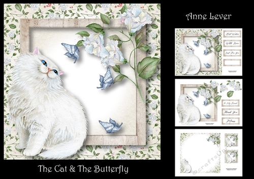 The Cat & The Butterfly