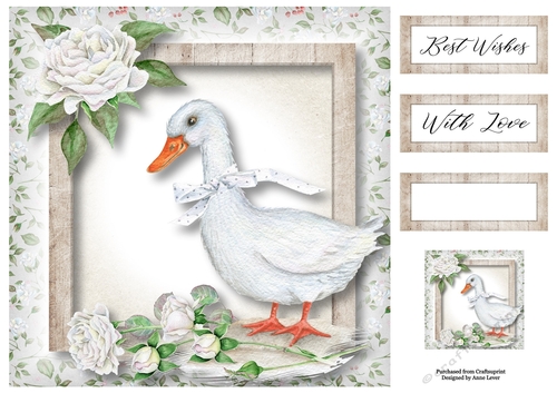 The Goose & The White Roses 8x8