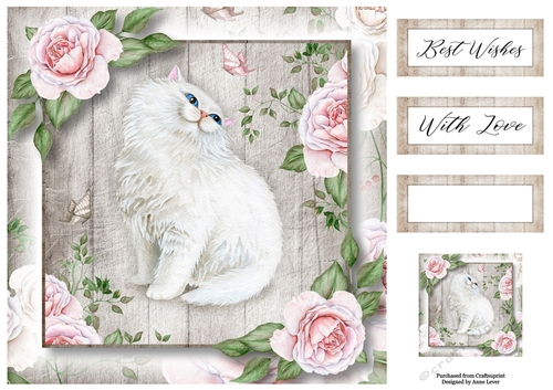 The White Cat & Pink Roses 8x8