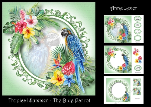 Tropical Summer - The Blue Parrot