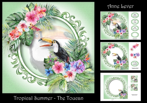 Tropical Summer - The Toucan