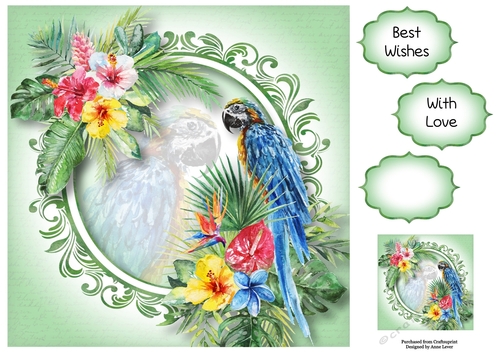 Tropical Summer - The Blue Parrot 8x8