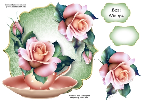 Beautiful Pink Rose - Teacup & Saucer