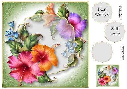 Floral Transparency - Fashionable Florale 8x8
