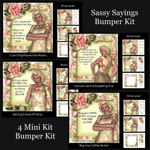 Sassy Sayings Bumper Kit