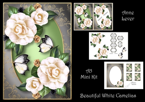 Beautiful White Camelias