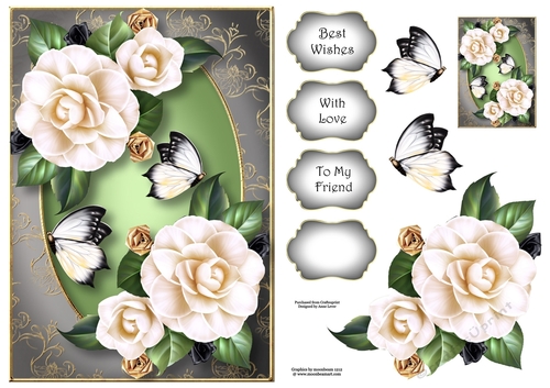 Beautiful White Camelias A5
