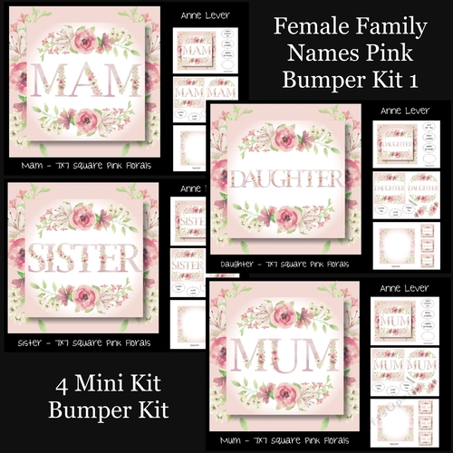 Female Family Names Pink Bumper Kit 1