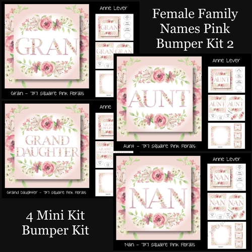 Female Family Names Pink Bumper Kit 2