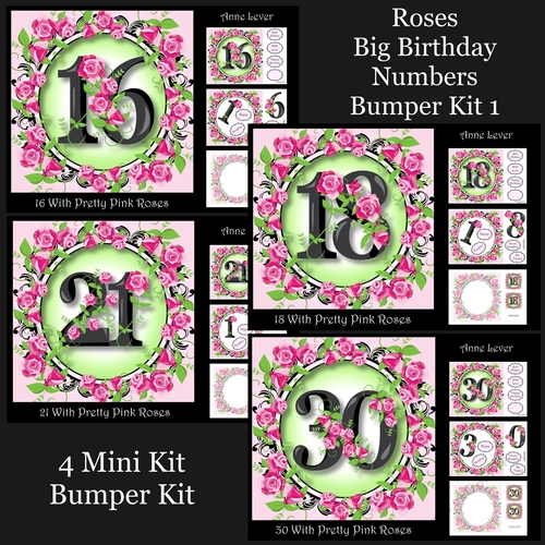 Roses Big Birthday Numbers Bumper Kit 1