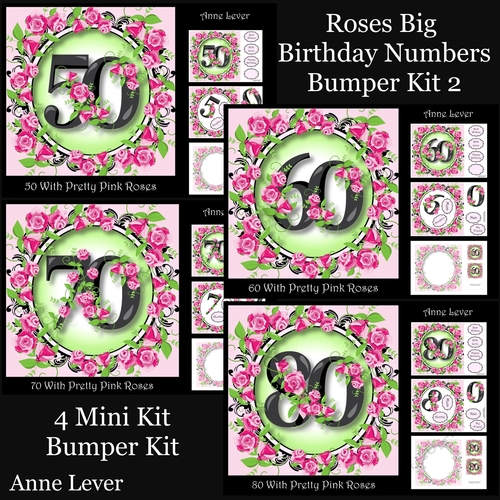 Roses Big Birthday Numbers Bumper Kit 2