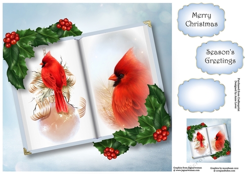 Open Book Christmas - Red Cardinal 8x8