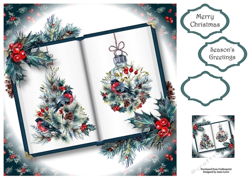 Open Book Christmas - The Bird & The Bauble 8x8