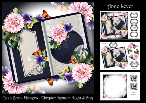 Open Book Flowers - Chrysanthemum Night & Day
