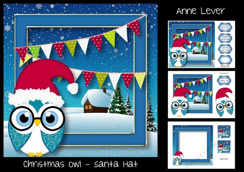 Christmas Owl - Santa Hat