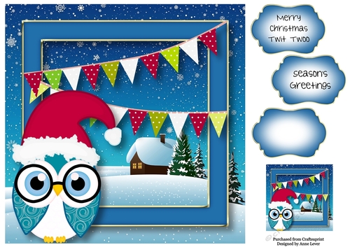 Christmas Owl - Santa Hat 8x8