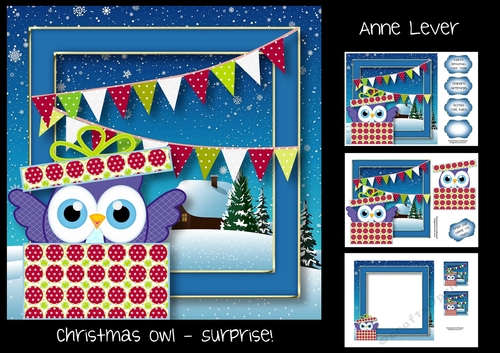 Christmas Owl - Surprise!