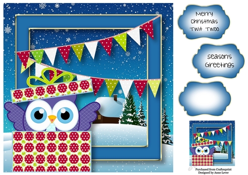 Christmas Owl - Surprise! 8x8