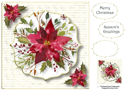 White & Gold - Scarlet Poinsettia 8x8