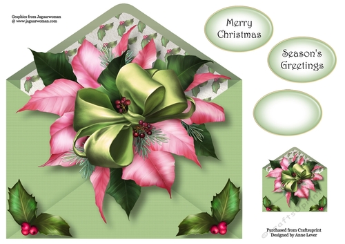 Christmas Envelope Of Flowers - Pink Poinsettia 8x8