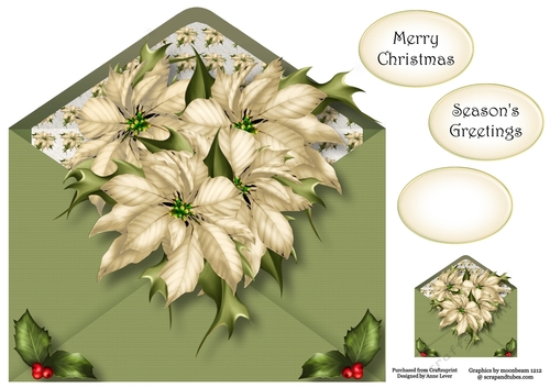 Christmas Envelope Of Flowers - Ivory Poinsettia 8x8