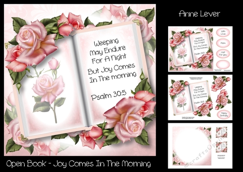 Open Book - Joy Comes In The Morning