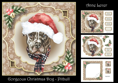 Gorgeous Christmas Dog - Pitbull
