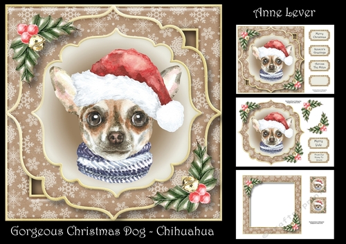 Gorgeous Christmas Dog - Chihuahua