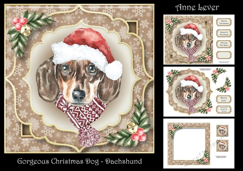 Gorgeous Christmas Dog - Dachshund