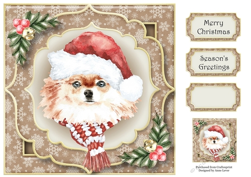 Gorgeous Christmas Dog - Pomeranian 8x8