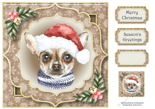 Gorgeous Christmas Dog - Chihuahua 8x8