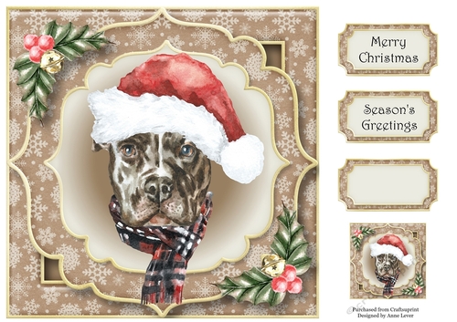 Gorgeous Christmas Dog - Pitbull 8x8