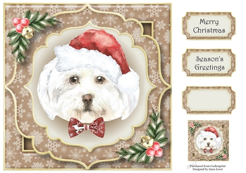 Gorgeous Christmas Dog - Maltese 8x8