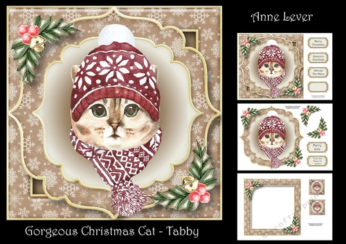 Gorgeous Christmas Cat - Tabby