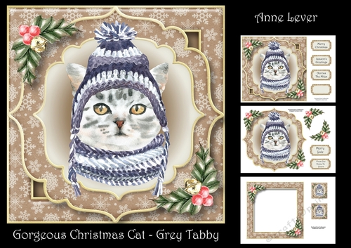 Gorgeous Christmas Cat - Grey Tabby