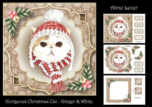 Gorgeous Christmas Cat - Ginger & White