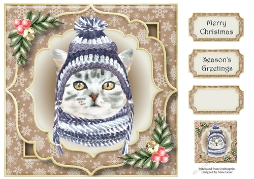 Gorgeous Christmas Cat - Grey Tabby 8x8