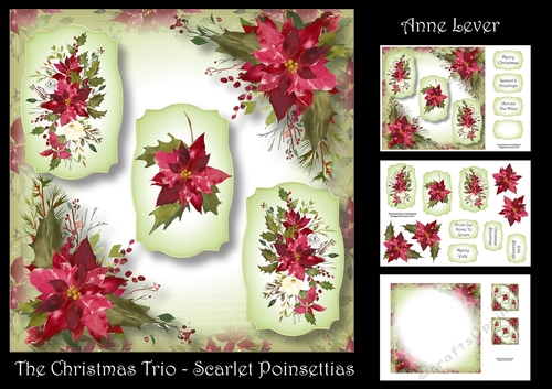 The Christmas Trio - Scarlet Poinsettias