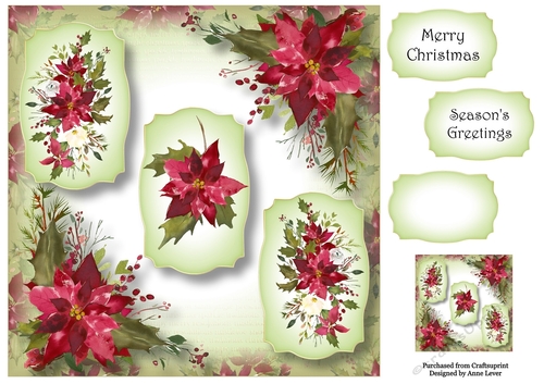 The Christmas Trio - Scarlet Poinsettias 8x8