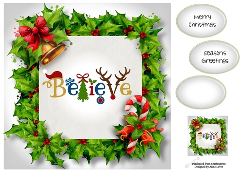 Festive Holly Frame - Believe 8x8