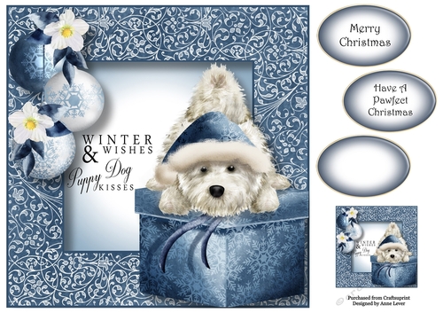 Chesterton The Westie - Puppy Dog Kisses 8x8